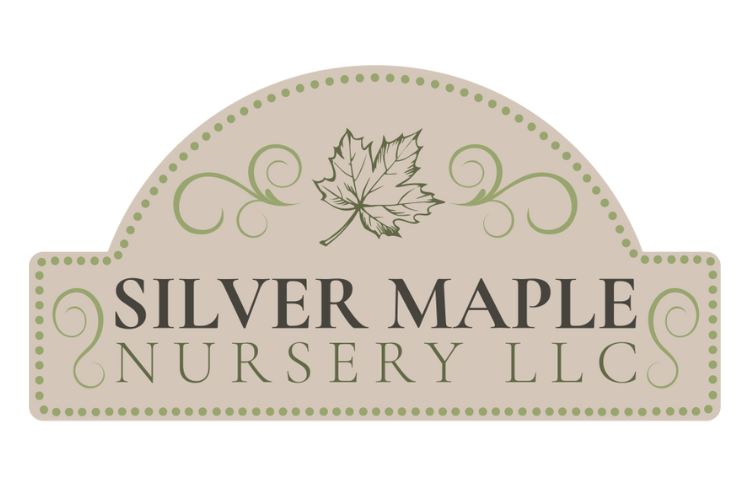 Silver Maple Nursery LLC 
