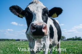 Van Beek Dairy Farms